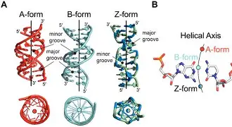 擫.驾鍹嫠E_凒z溨沠M涫1靭衺;诜顪褠@h9殁bW?v岸&販6蝦俑的简单介绍
